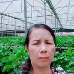 Vũ Thị Niên Anh