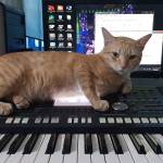 Tuấn Kiệt Mạch