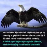 Nguyễn Đức Mạnh