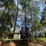 Arkazrandri Arkazrandri