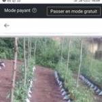 Emmanuel Gbévègnon