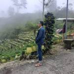 Moch Taufik