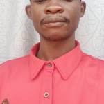 Mahougnon Herve Gbetounou