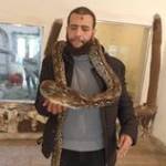 محمد الزناتى