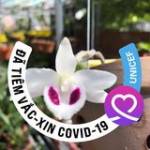 Đông Đặng Xuân