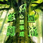 Hồng Phúc Nguyễn