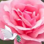 الواثق بالله