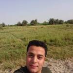 مؤمل الفتلاوي