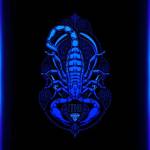 Moataz ballah Mahmoud