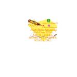 Olah Data Semarang ODS