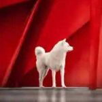 Galabuzi Bukenya Moses