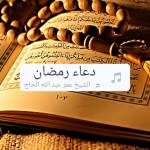 FATMA BOULAL
