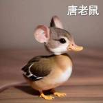 soso yu