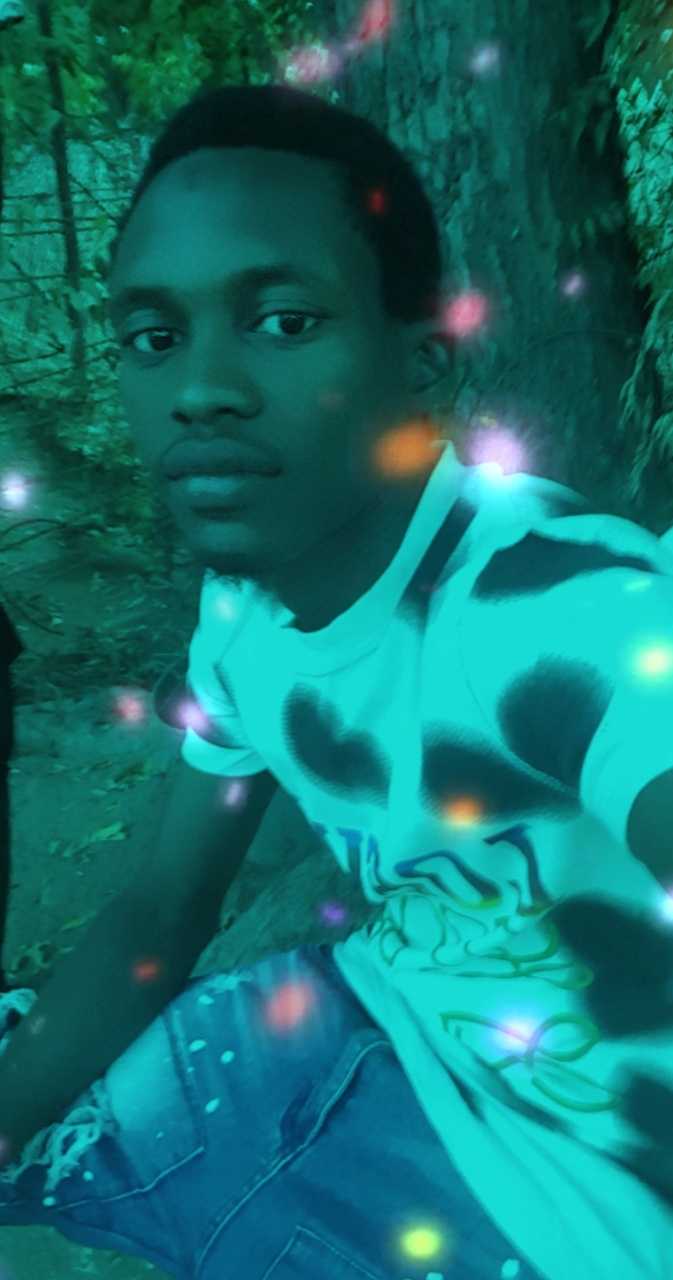 User Image