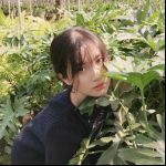 Trần Đình Phú