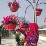 Jannatul Nayem