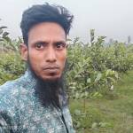 Md Anamul Haque Porosh