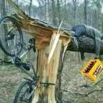 Alexis Mbonihankuye Mbonihankuye