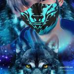 الراوي الأخير