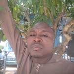 Ali Bakoye