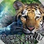 Lili Rachmat Ghozali