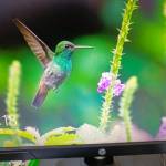 Salamata ILBOUDO KANAZOE