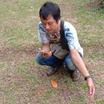 Hardi Kusuma