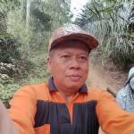 Syamsul Syamsul