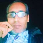 احمدالوفائى عبدالرحمن