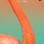 Beadoum Ngarmari parfait