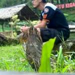 Alvin Asfarizah