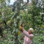 Marie Claude CHUANTE NGUEPNANG