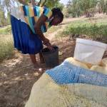 Martine dit wend-n datee Zougrana