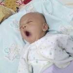 Beris Morison Eris setia permana