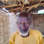 Salfo Sinon