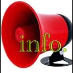 Seulai Romaric Bonga