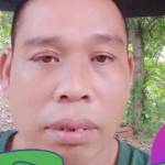 Chi Trần thạch Trần thạch chi