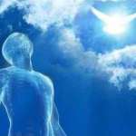 Vincent Junior Mbia Tsala