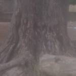 Wendyaoda paul MINOUNGOU