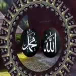 Nasril Nasril