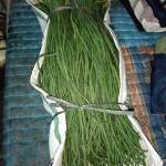 Sayur Mayur