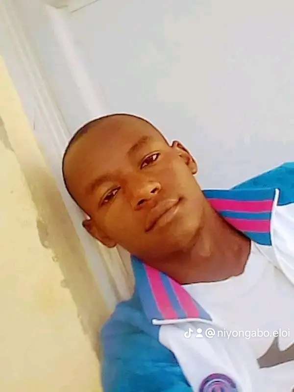 User Image