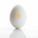 Marc Rodrigue Mbeketh