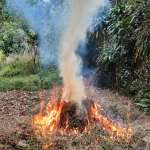 NGỌC TUÂN NGUYỄN