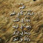 نور الله احمد