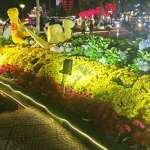 Tho an luon Nguyễn