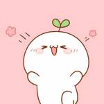 KIM NGỌC VĂN THỊ