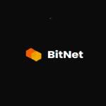 bitnet