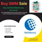 Trusted Platform to Buy Verified WebMoney Accounts