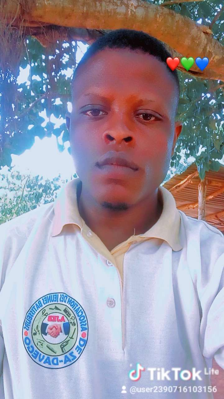 User Image